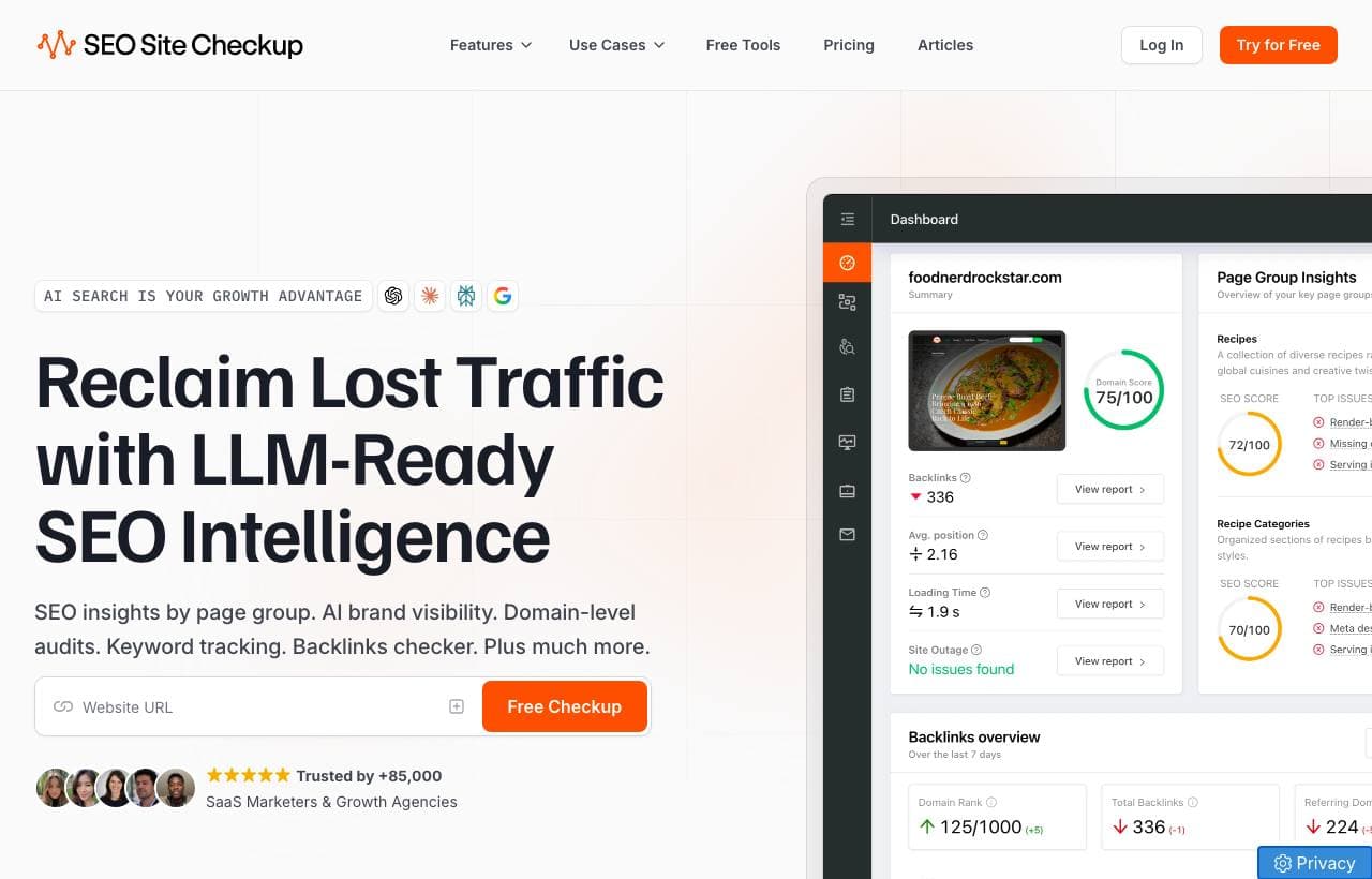 SEO Site Checkup homepage screenshot
