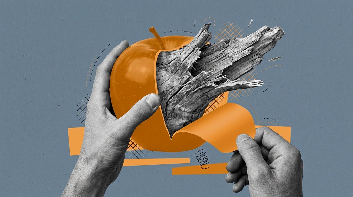 AEO Agency: How to Choose One and Expose a Rebranded SEO Shop